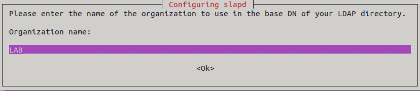 Establecer nombre organización